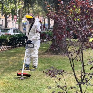 WhatsApp Image 2024-12-05 at 13.03.31 (1)